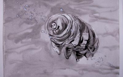 A unified theory of everything 2