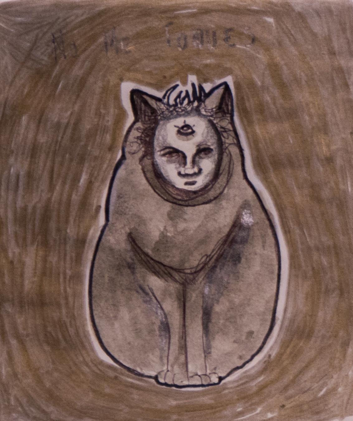 Gatos de pandemia 07