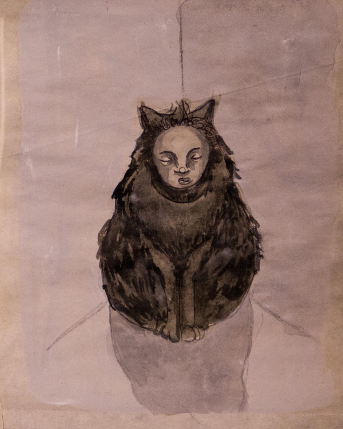 Gatos de pandemia 10