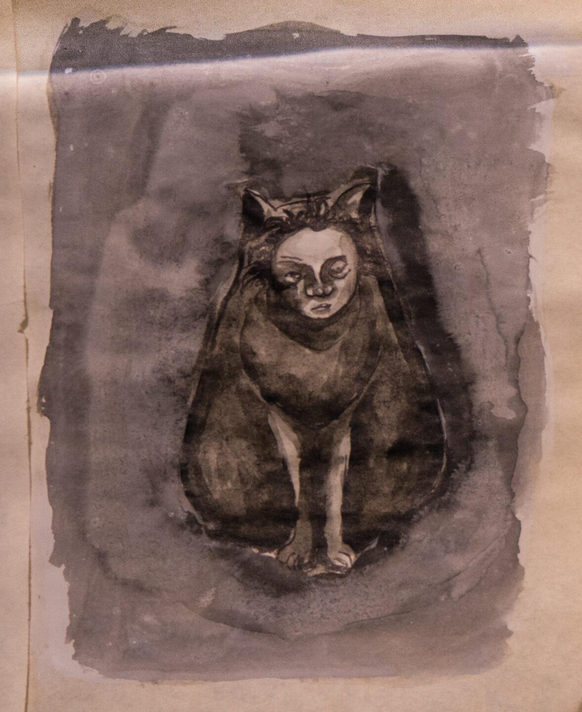 Gatos de pandemia 11