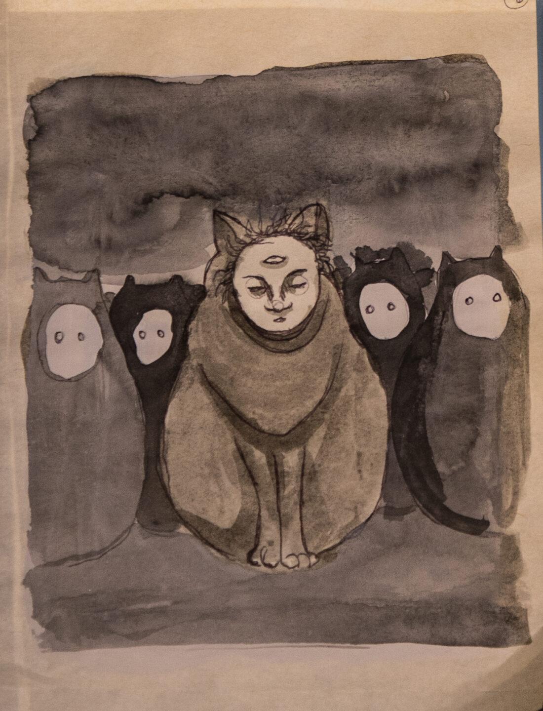 Gatos de pandemia 13