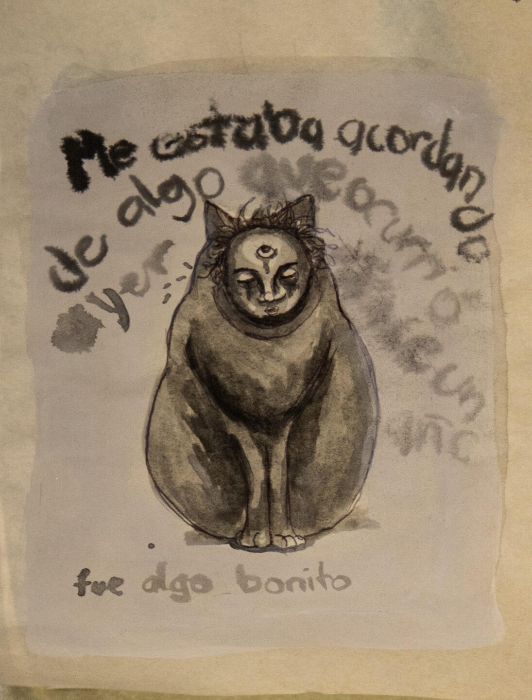 Gatos de pandemia 15