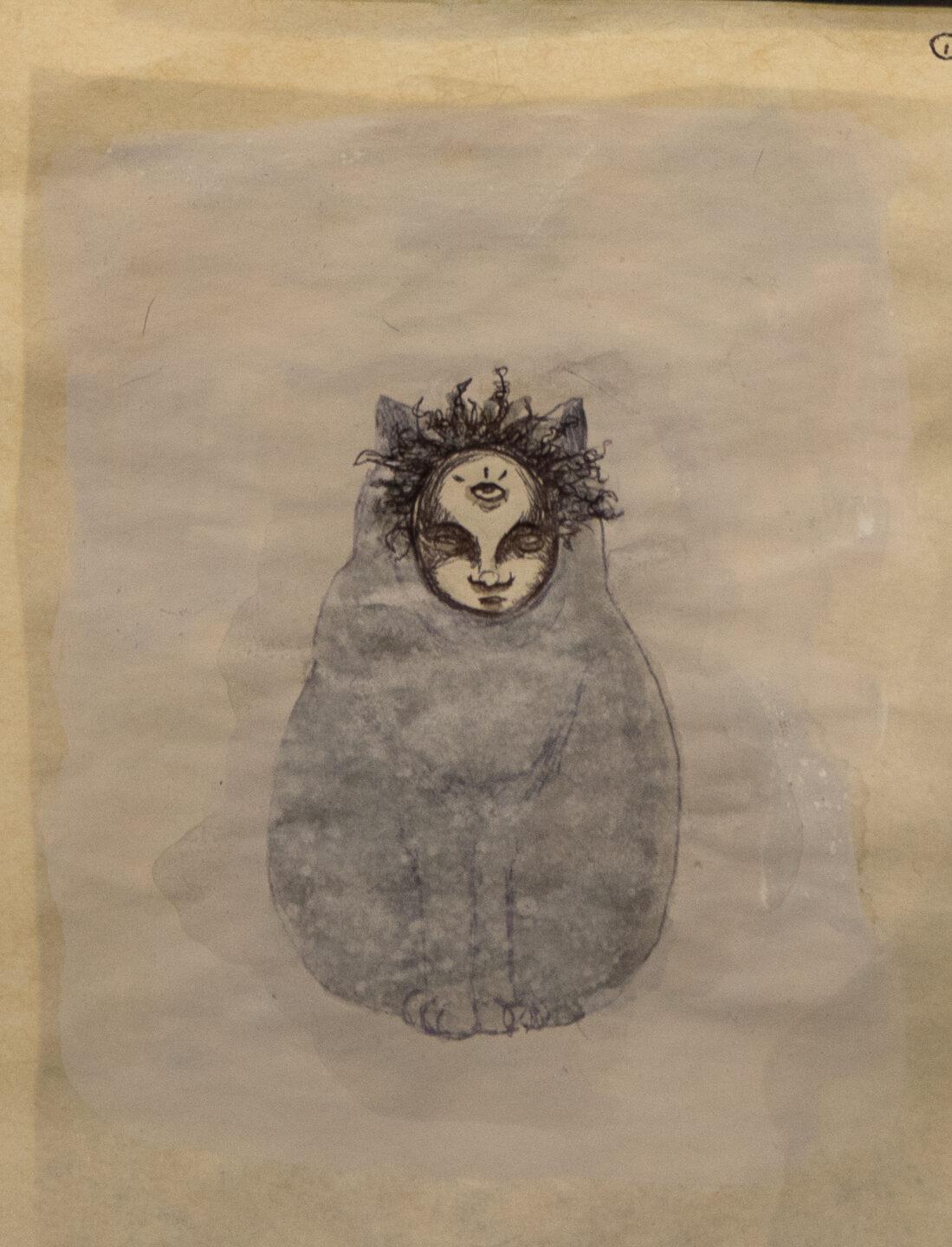 Gatos de pandemia 16