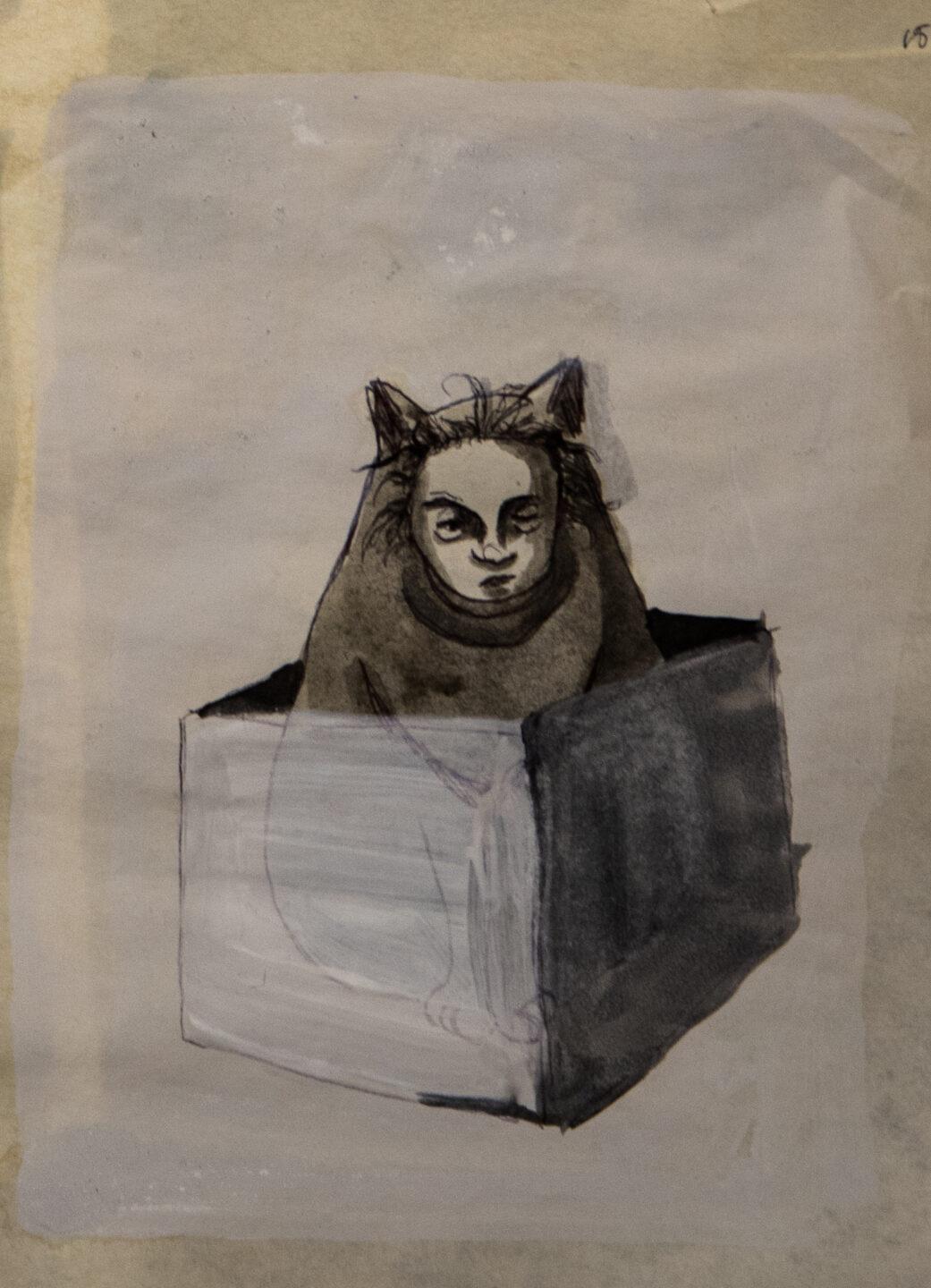 Gatos de pandemia 17