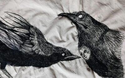 Observación de Aves