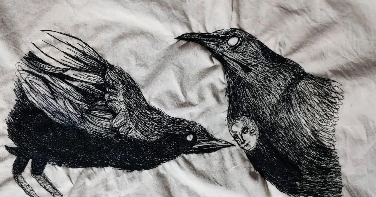 Observación de Aves